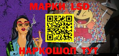 spice Краснознаменск